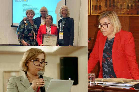 Assunção Flores, conselheira do CNE, no top dos investigadores mais citados no mundo