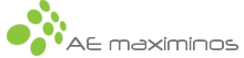 logoaemaxi