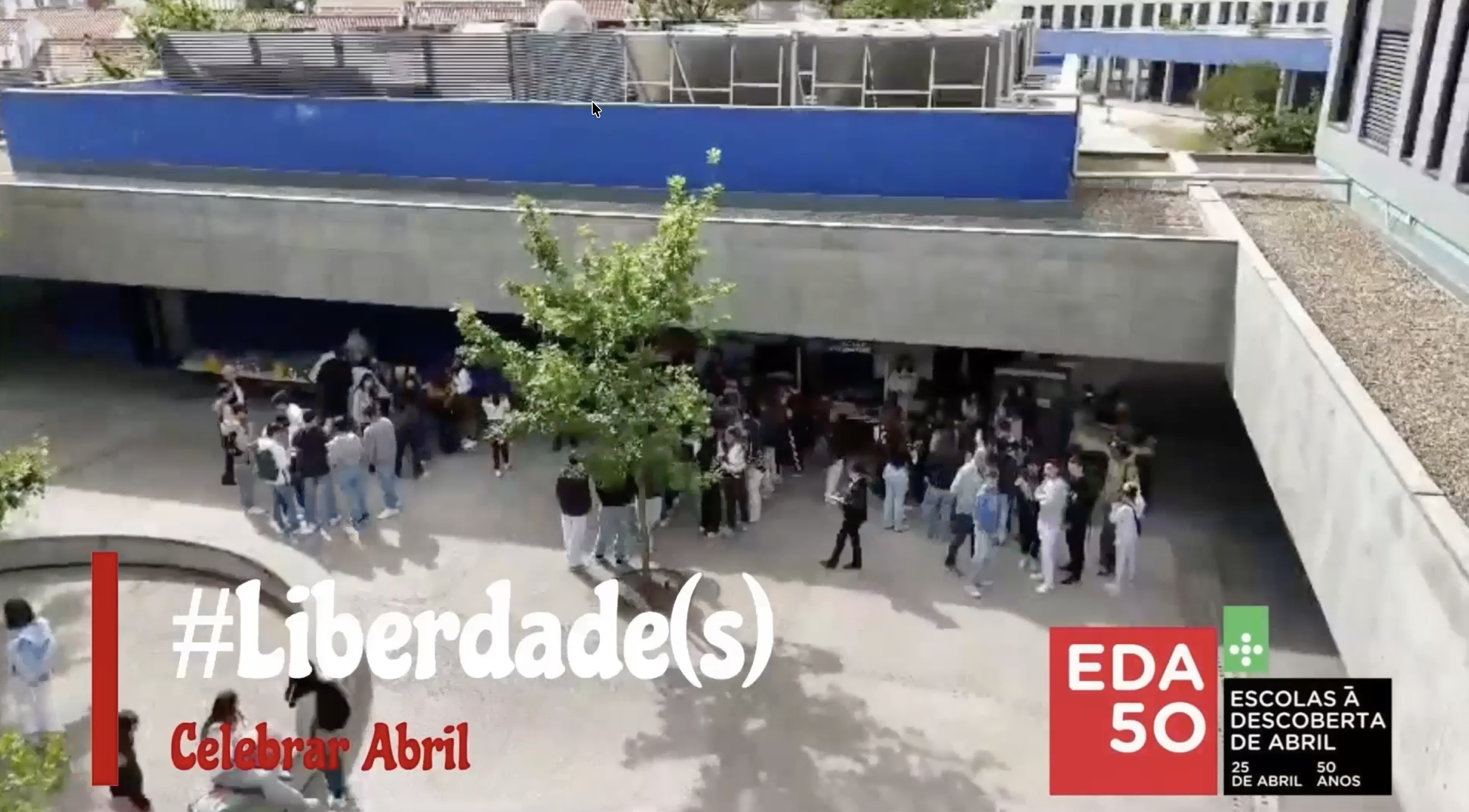 Agrupamento de Escolas Salvaterra de Magos