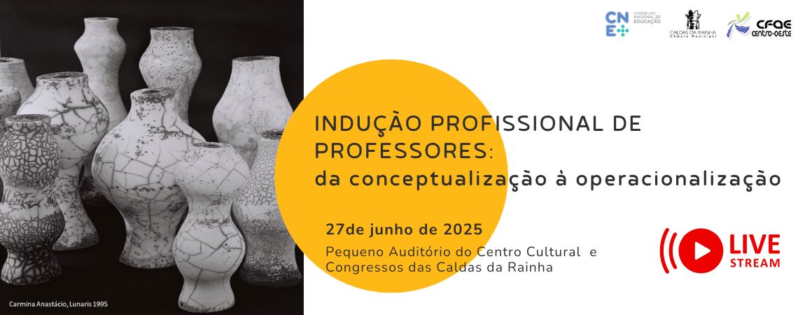 banner seminario Inducao de Professores Live stream