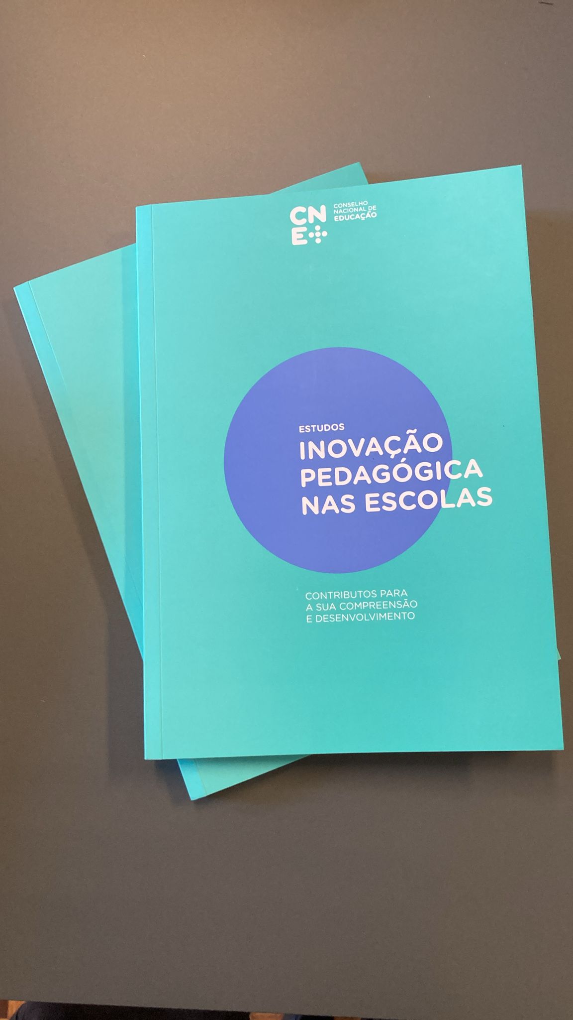 Inovação Pedagógica nas Escolas: contributos para a sua compreensão e desenvolvimento