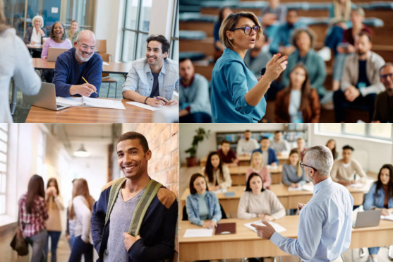 Educação de Adultos: observar os resultados do PIAAC na perspetiva de Aprendizagem ao Longo da Vida