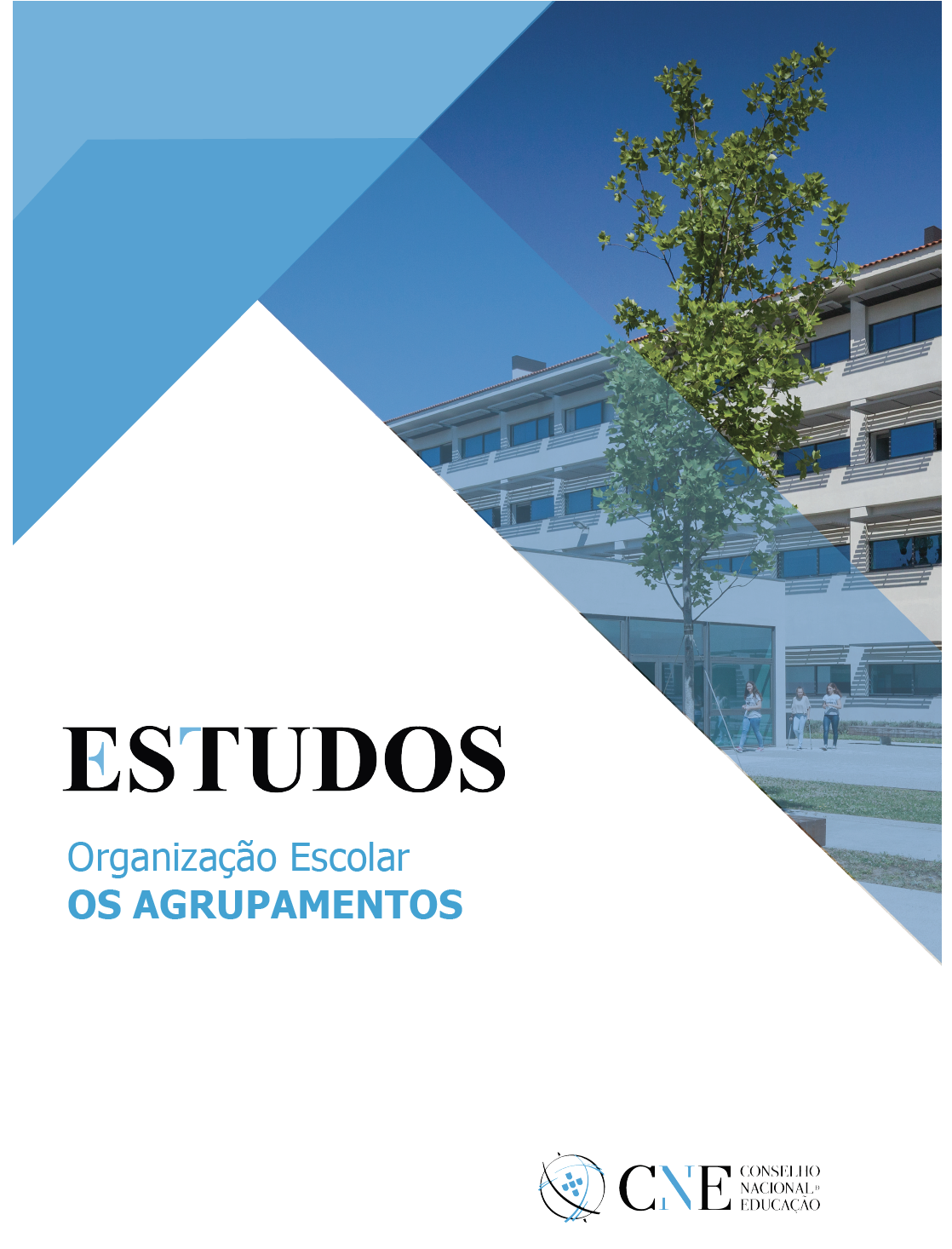 img estudo agrupamentos