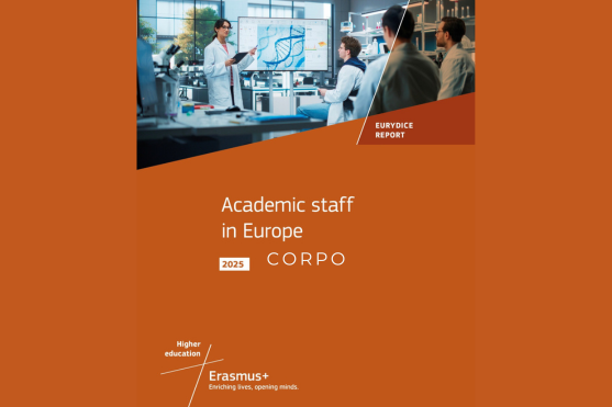 Como tornar as carreiras académicas mais atrativas e sustentáveis?